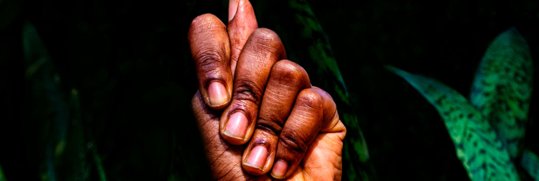 28th Festival Mix Brasil de Cultura da Diversidade